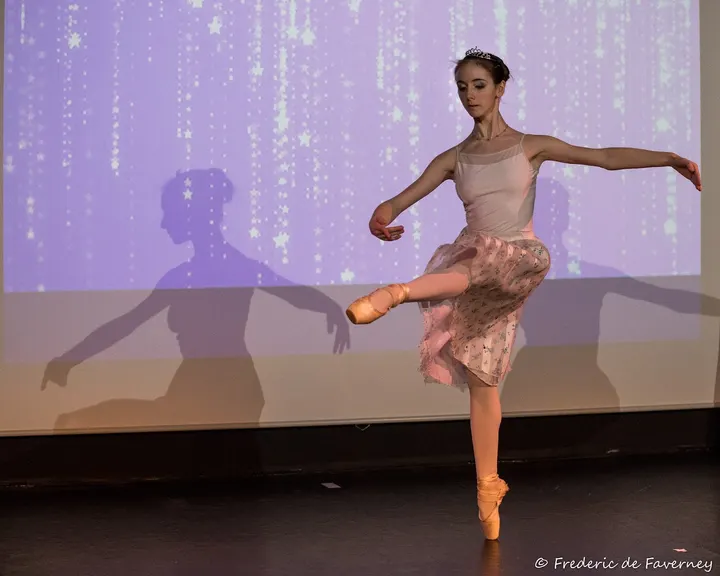 Ecole de Danse Freva — danse-studio à Nice — 4