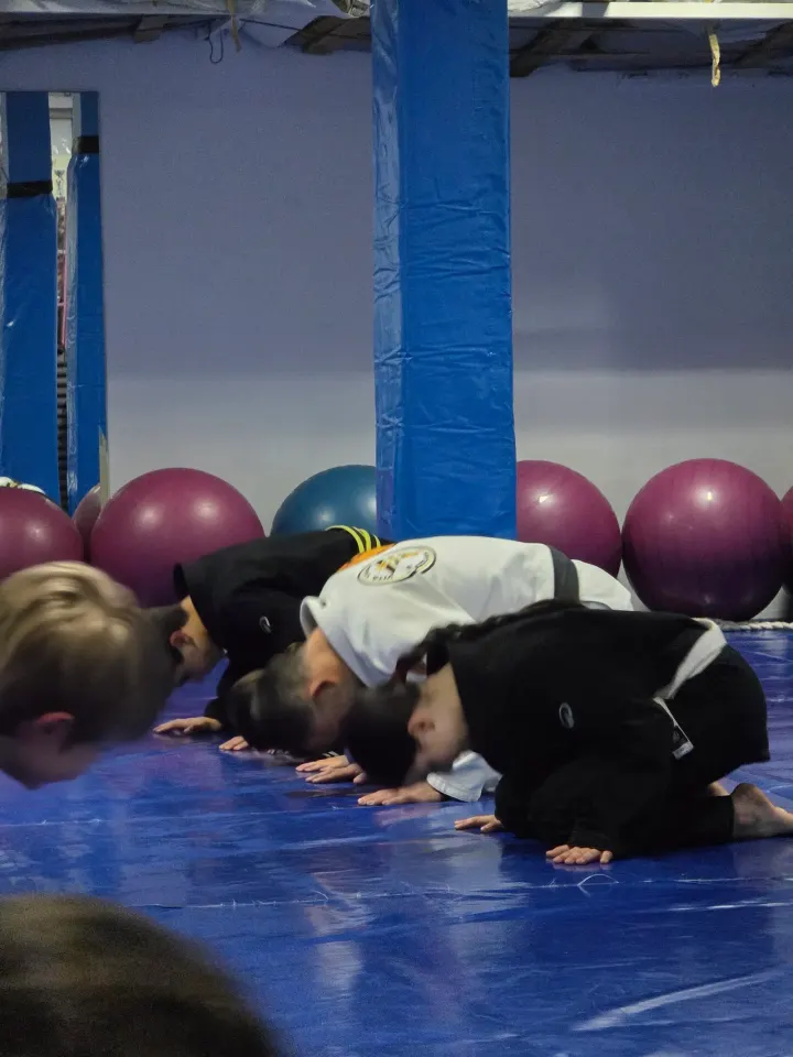 Icon Jiu-Jitsu Madeira — artes marciais-studio em Imaculado Coração de Maria, Funchal — 2