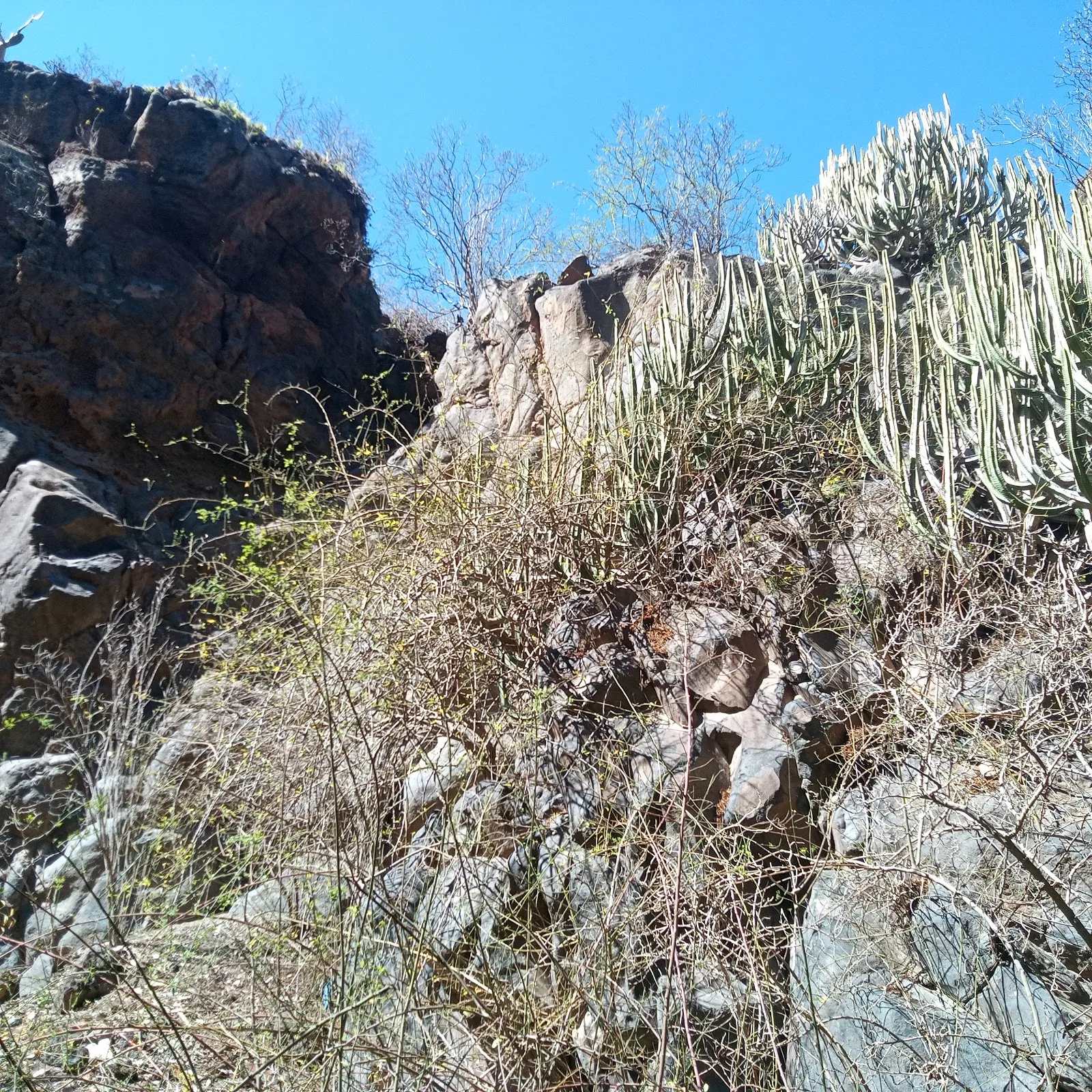Rocódromo Barranco de Santa Brígida — escalada-studio en Las Palmas de Gran Canaria — 2