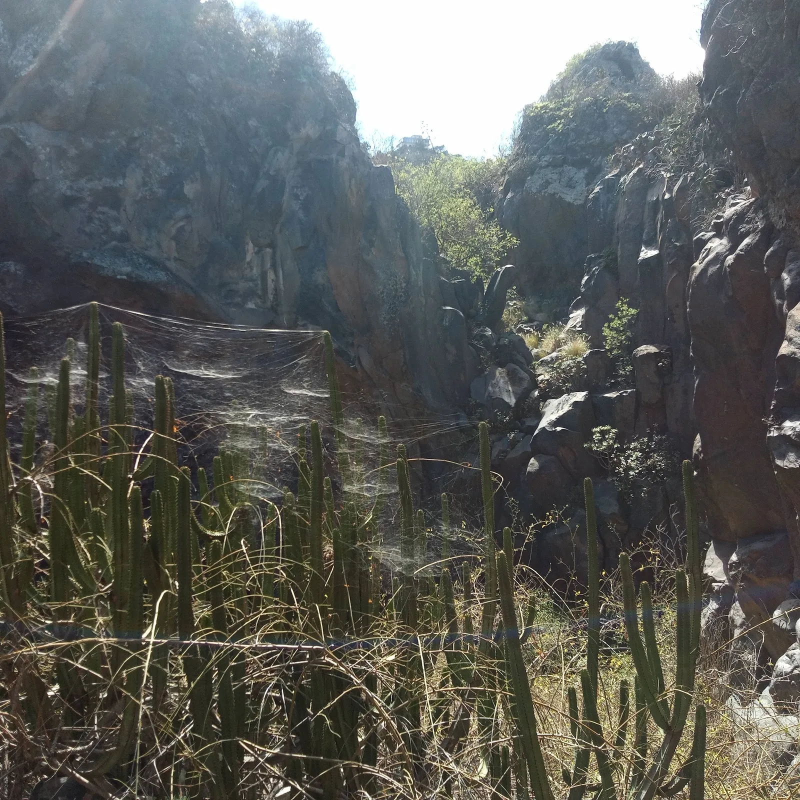 Rocódromo Barranco de Santa Brígida — escalada-studio en Las Palmas de Gran Canaria — 3