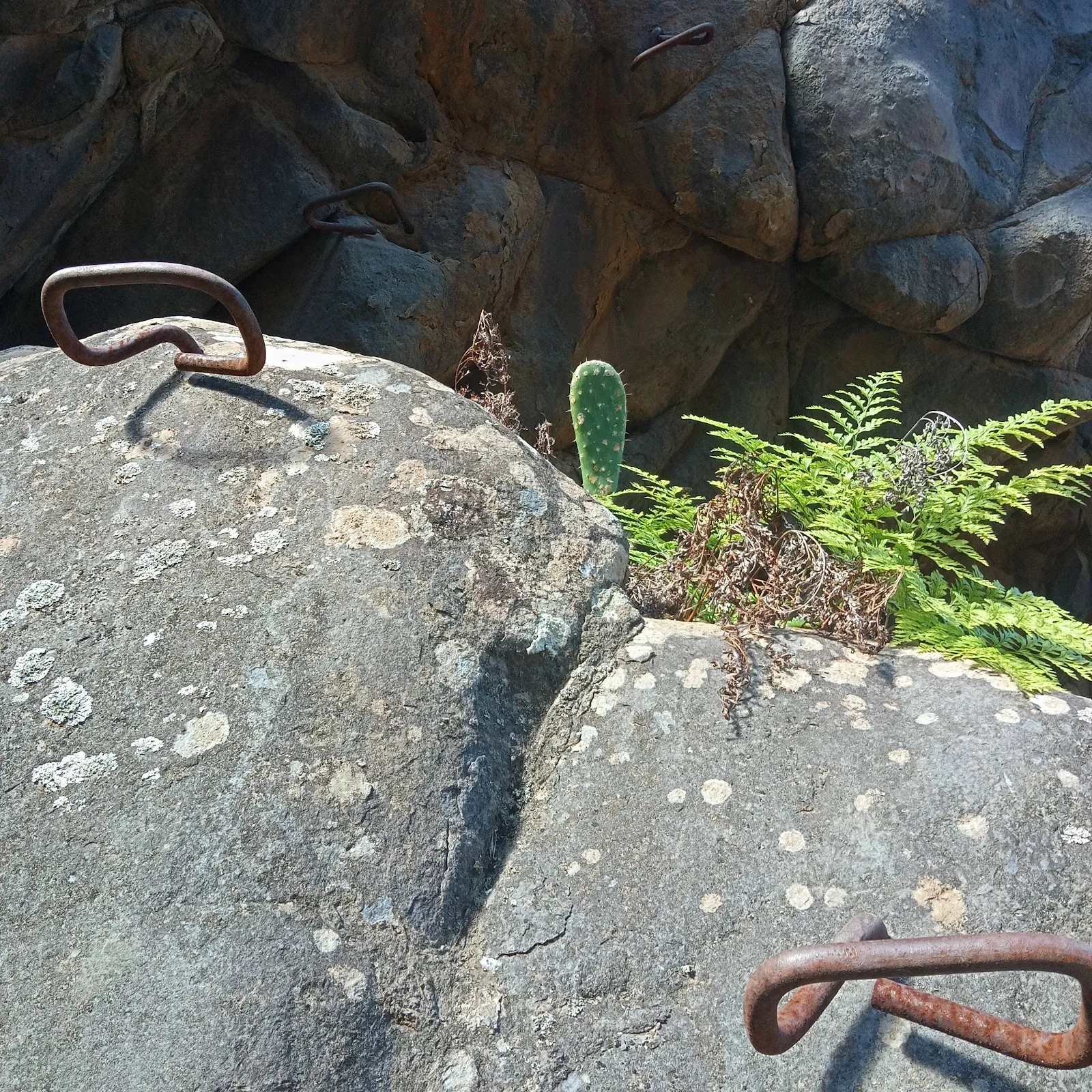 Rocódromo Barranco de Santa Brígida — escalada-studio en Las Palmas de Gran Canaria — 3