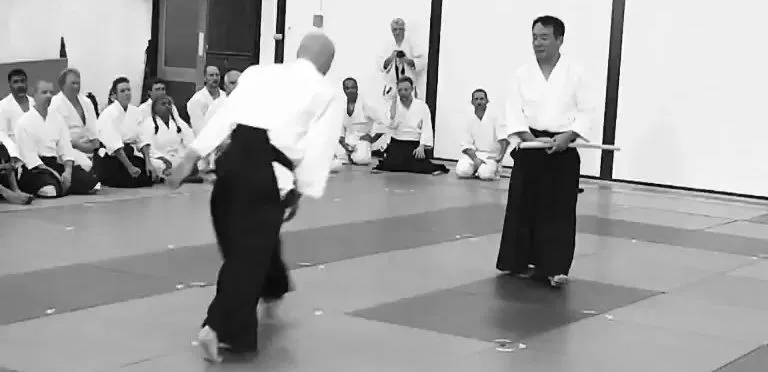Aikikai Aikido Dulwich — martial arts-studio in Merton Park, London — 2