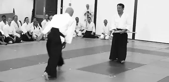 Aikikai Aikido Dulwich — martial arts-studio in Upper Norwood, London — 3