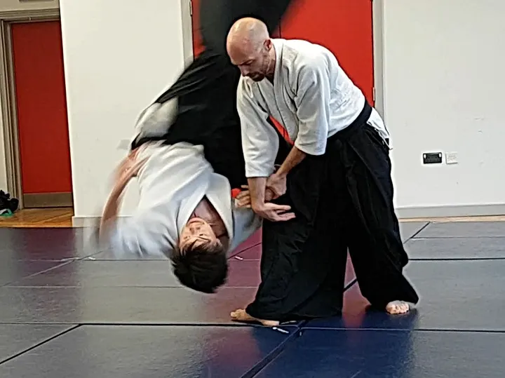 Aikikai Aikido Dulwich — Martial Arts in Merton Park, London