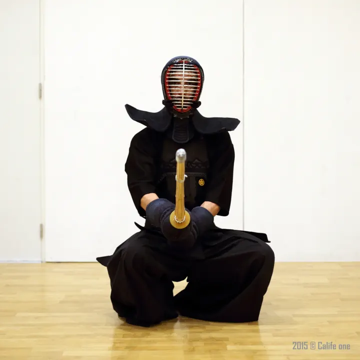 Suishinkai dojo Gymnase de la Similienne — arts martiaux-studio à Hauts-Pavés, Nantes — 2