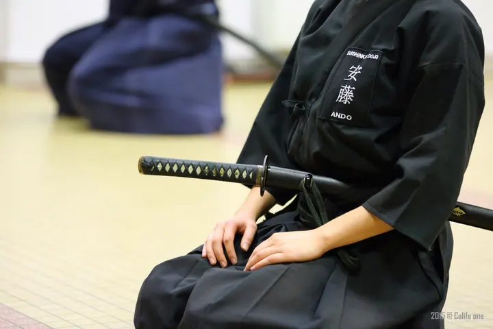 Suishinkai dojo Gymnase de la Similienne — arts martiaux-studio à Hauts-Pavés, Nantes — 3