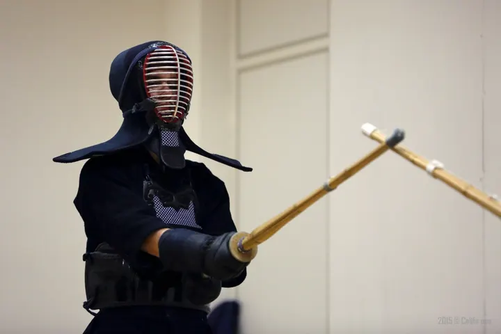 Suishinkai dojo Gymnase de la Similienne — arts martiaux-studio à Nantes — 4