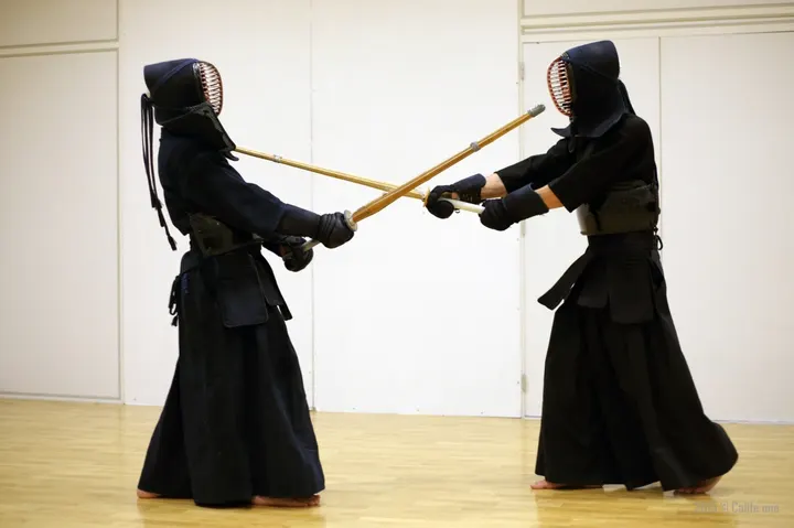 Suishinkai dojo Gymnase de la Similienne — arts martiaux-studio à Nantes — 5
