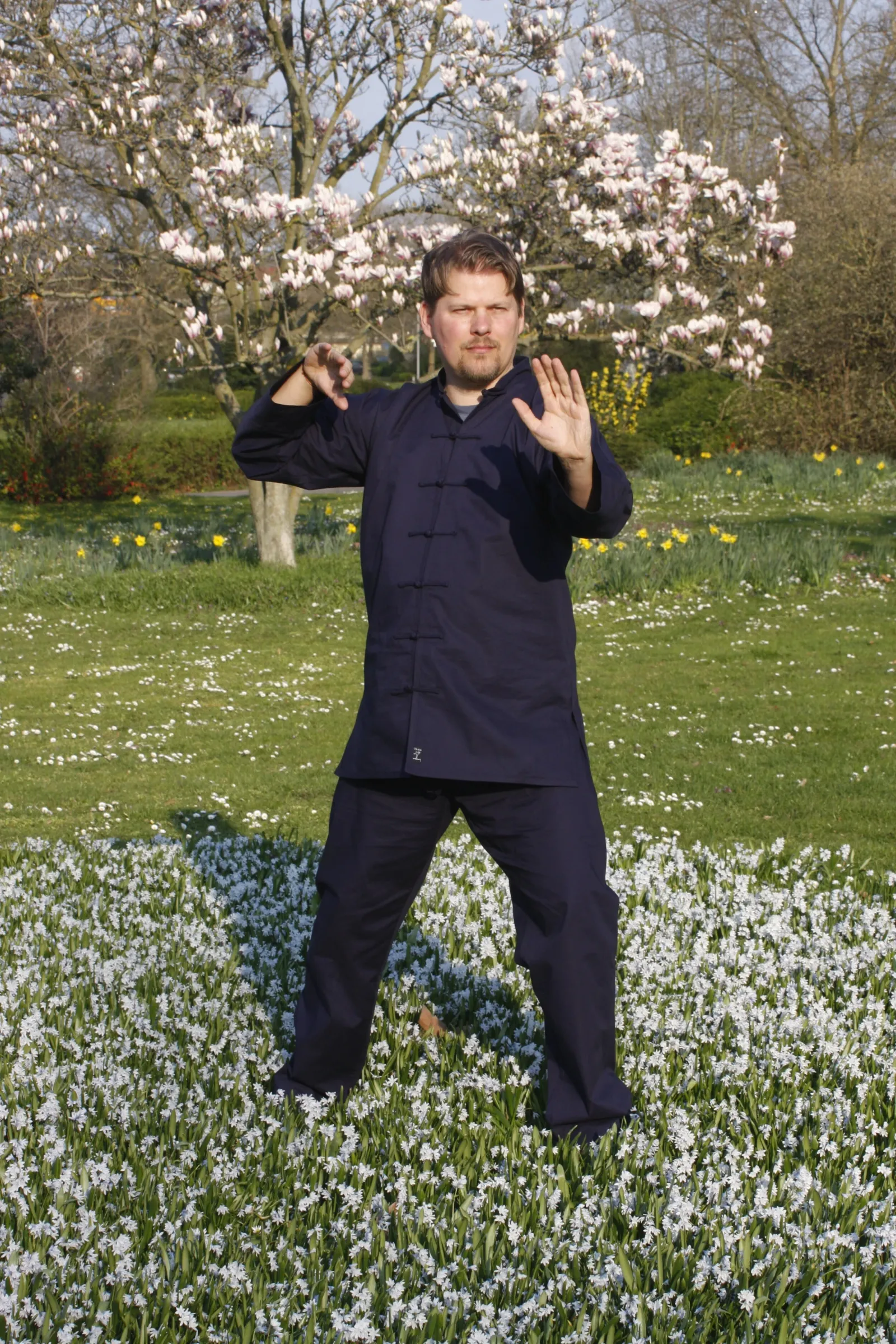 Tai Chi Schule Wiesbaden — kampfsport-studio in Mitte, Wiesbaden — 3