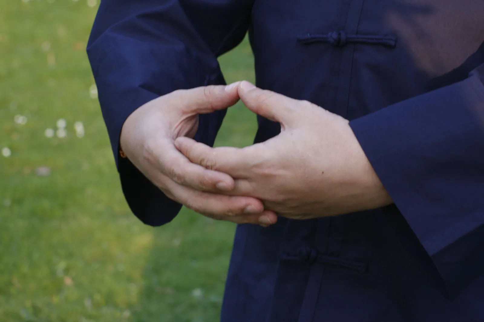 Tai Chi Schule Wiesbaden — kampfsport-studio in Wiesbaden — 3