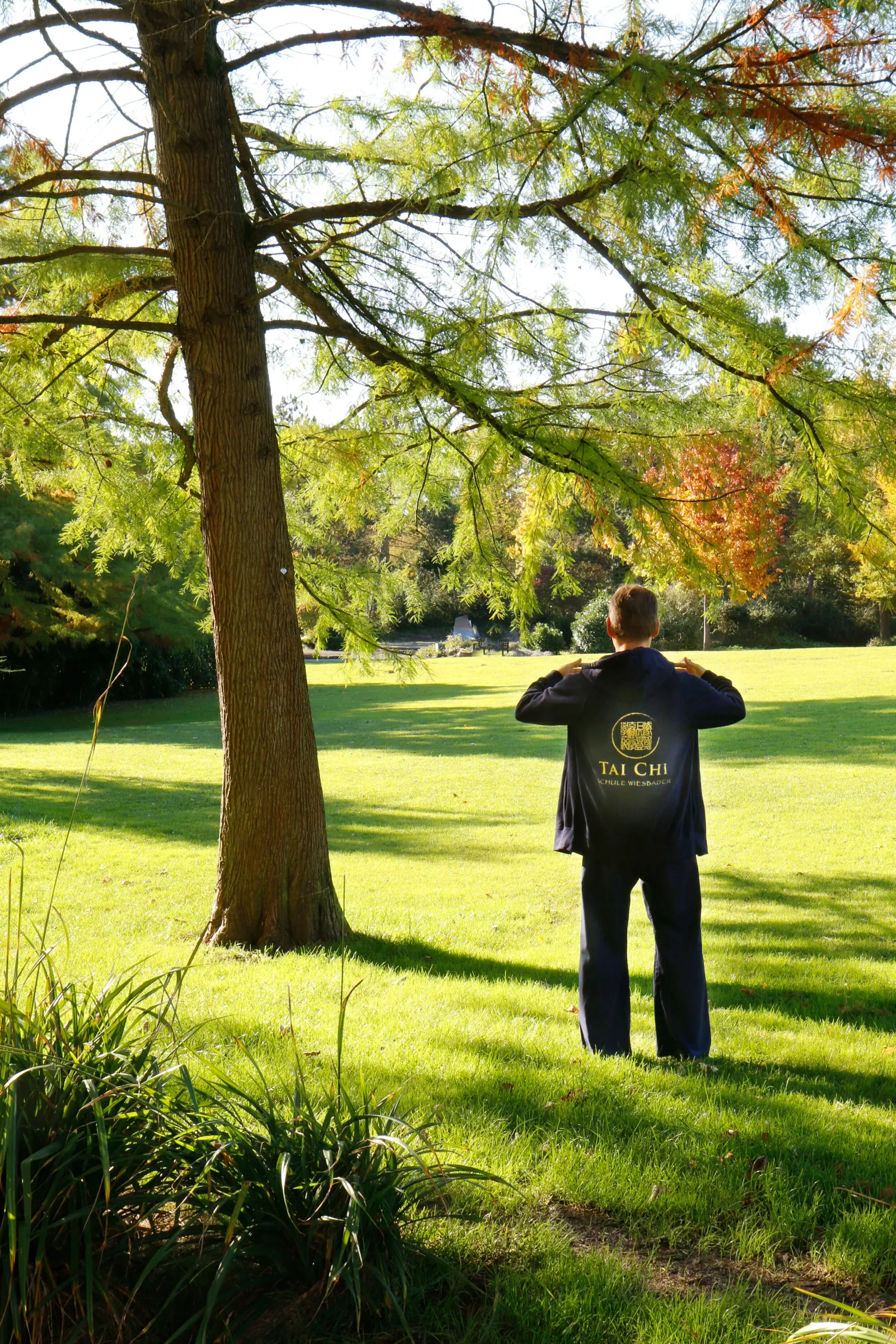Tai Chi Schule Wiesbaden — kampfsport-studio in Wiesbaden — 4
