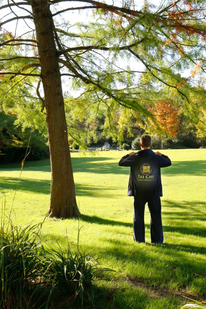 Tai Chi Schule Wiesbaden — Meditation in Mitte, Wiesbaden