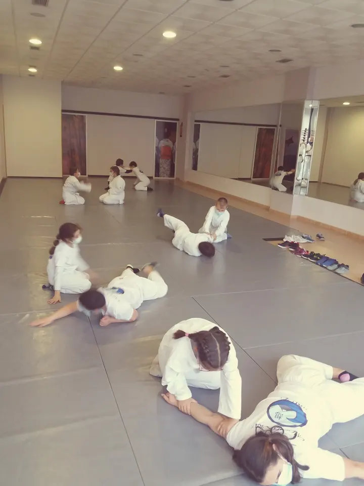 Omoi Dojo — artes marciales-studio en El Parador de las Hortichuelas — 5