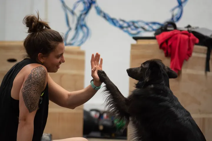 Fitness DR Huesca — crossfit-studio en Huesca — 5