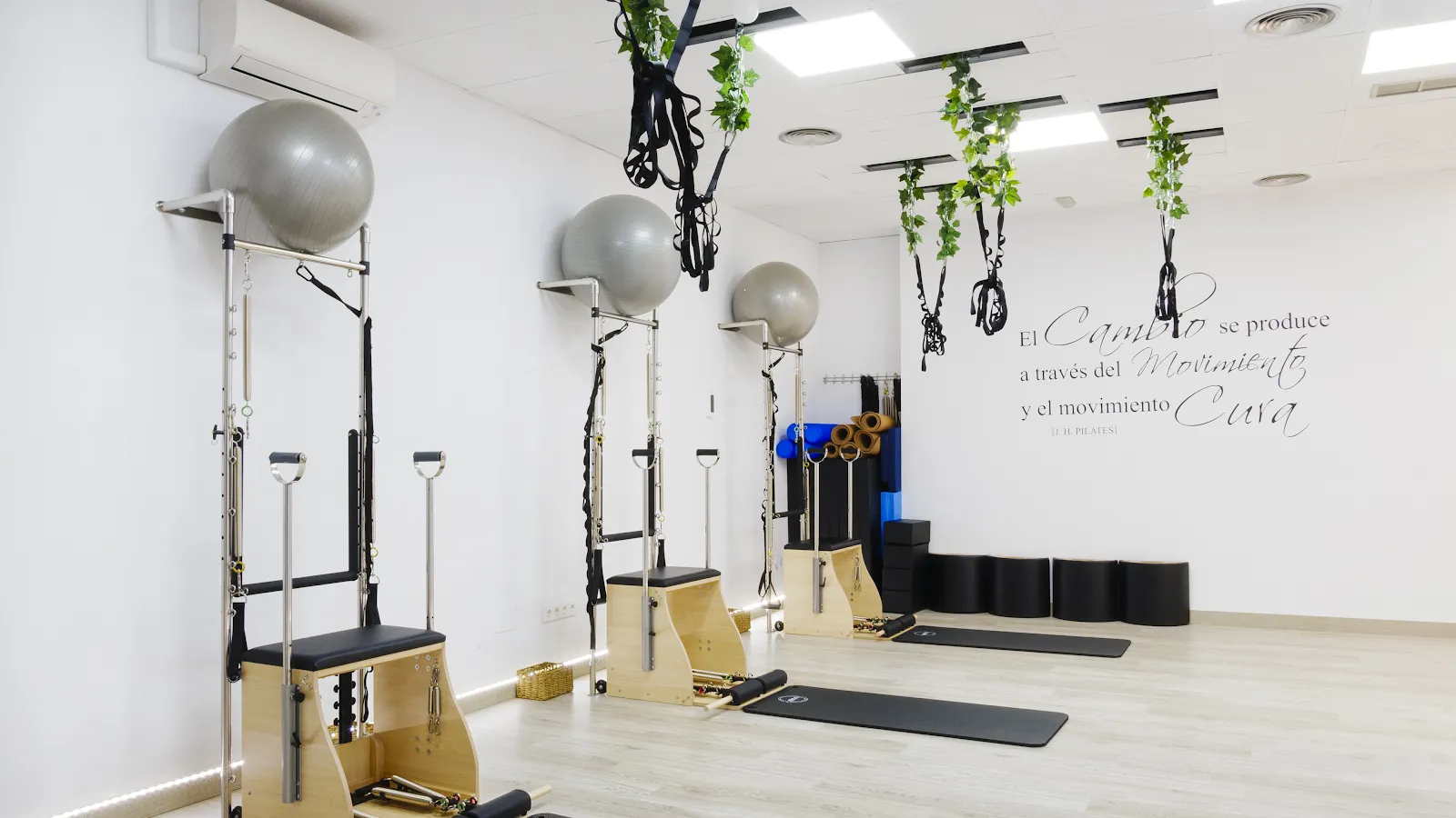 C&M PILATES STUDIO — pilates-studio en Alcalá de Henares — 3