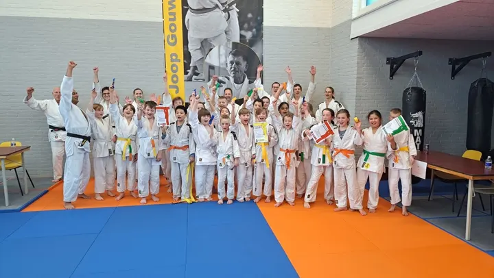 Budo Gouweleeuw — Vechtsport in Voorhof, Delft