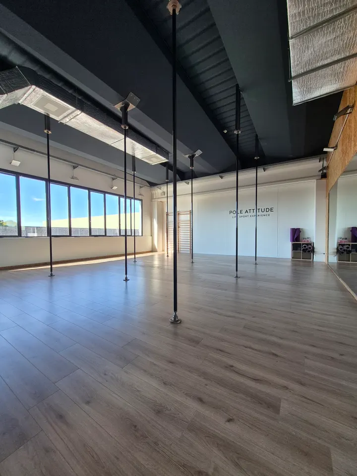 Pole Attitude — danza-studio a Monza — 3