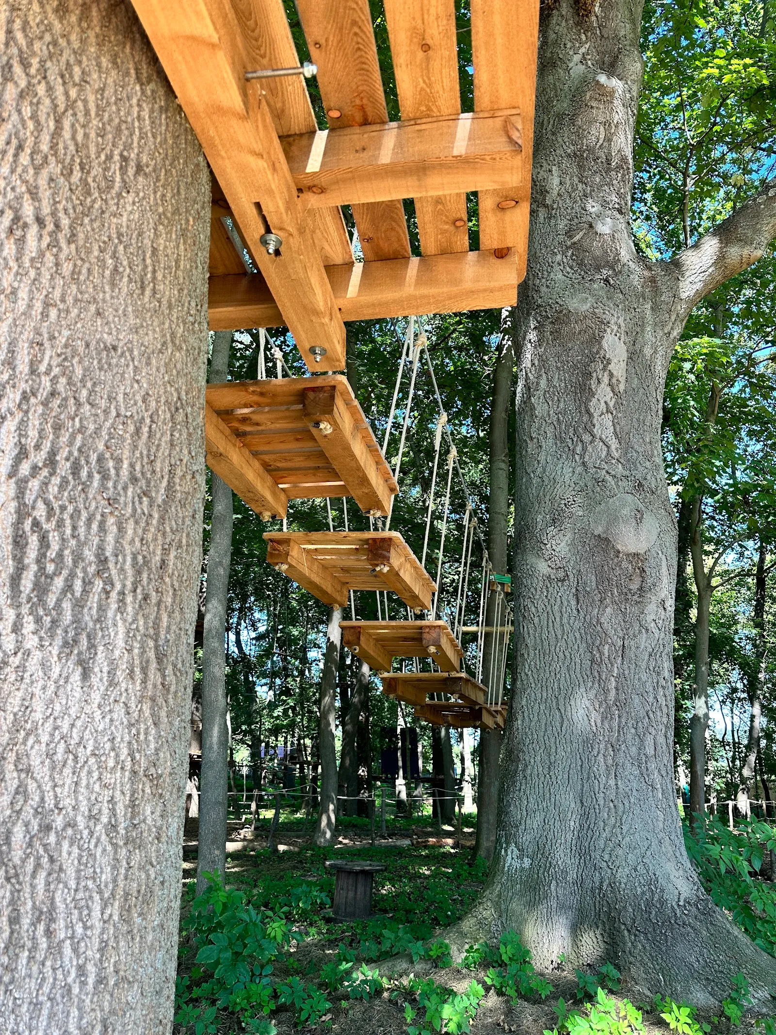 Kletterwald Drei Gleichen — klettern-studio in Drei Gleichen-Mühlberg — 3
