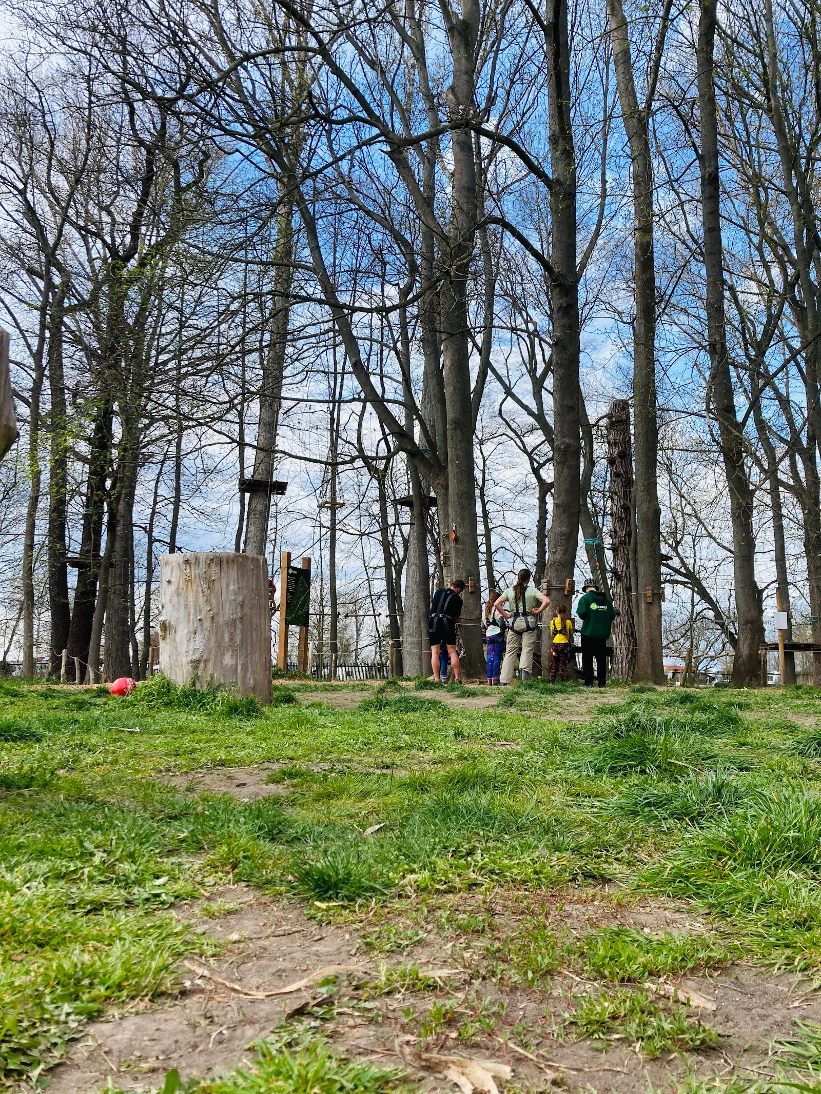 Kletterwald Drei Gleichen — klettern-studio in Drei Gleichen-Mühlberg — 4