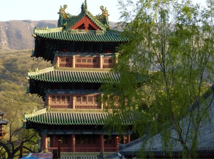 Shaolin Tempel Lämmchesberg — kampfsport-studio in Kaiserslautern — 3