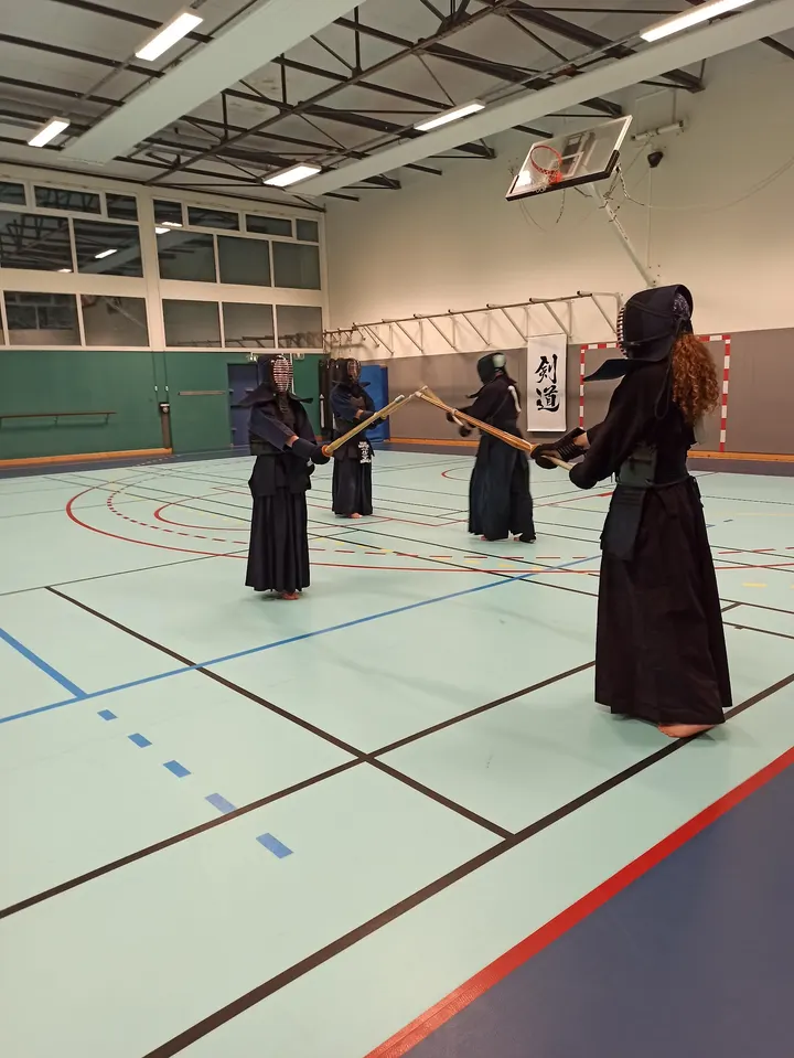 Dojo Nantais - Breil-Malville — JJB à Breil - Malville, Nantes