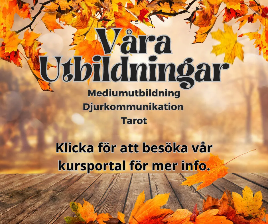 Andra Sidan — pt-studio-studio i Gävle — bild 2