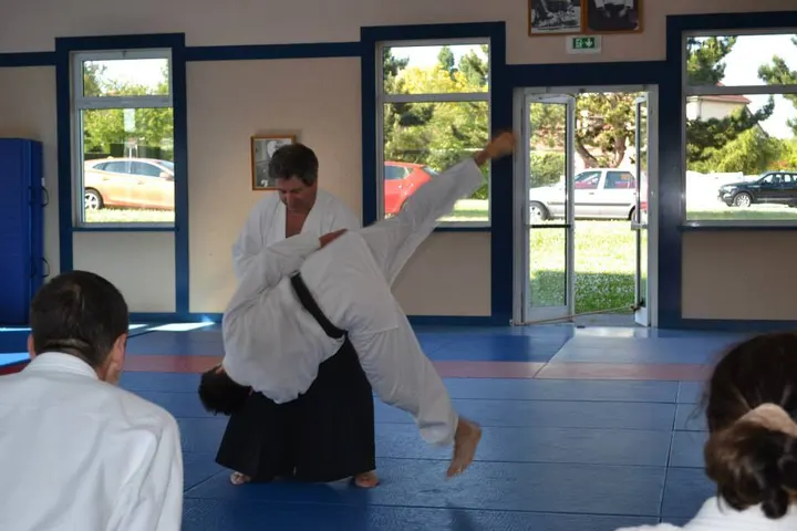 Aikido Yoshinkan Paris — arts martiaux-studio à Paris 7e Arrondissement, Paris — 2