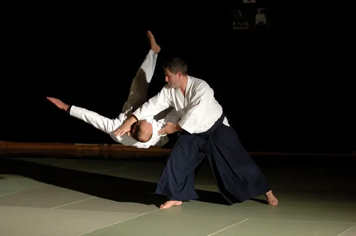 Aikido Yoshinkan Paris — Arts martiaux à Paris 7e Arrondissement, Paris