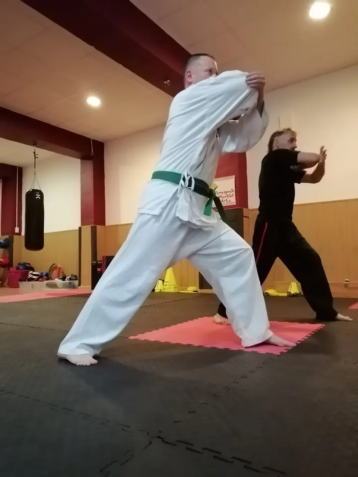 Renegade Martial Arts — artes marciales-studio en es Camp Redó, Palma — 2