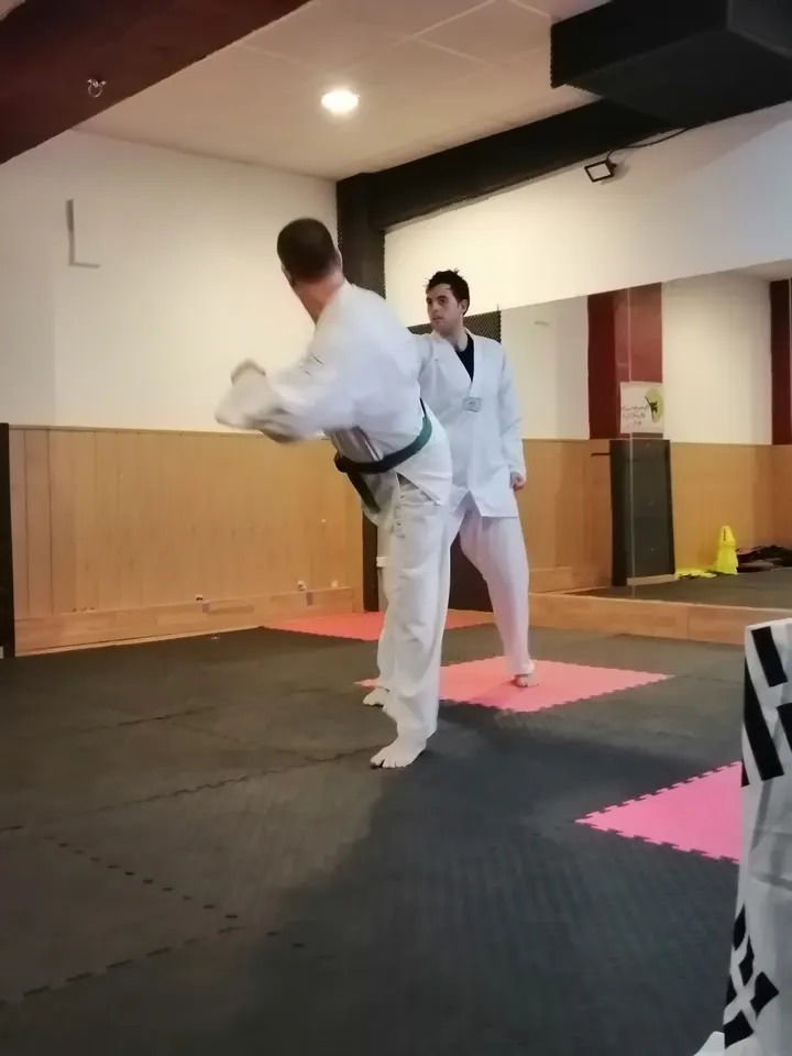 Renegade Martial Arts — Artes marciales en es Camp Redó, Palma