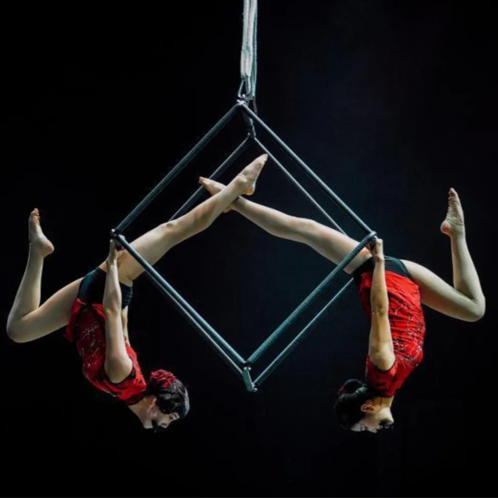 Fanlin Studio - Pole & Aerial Dance — dans-studio i München — 2