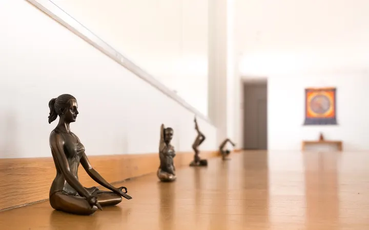 Yoga Zentrum Wiesbaden — yoga-studio in Biebrich, Wiesbaden — 2