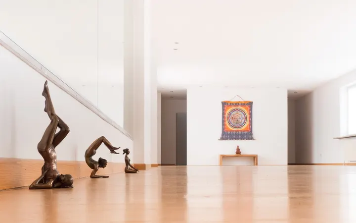 Yoga Zentrum Wiesbaden — yoga-studio in Biebrich, Wiesbaden — 3