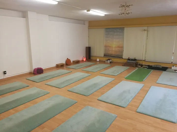 Centro de Yoga Oasis — yoga-studio en Alicante — 2