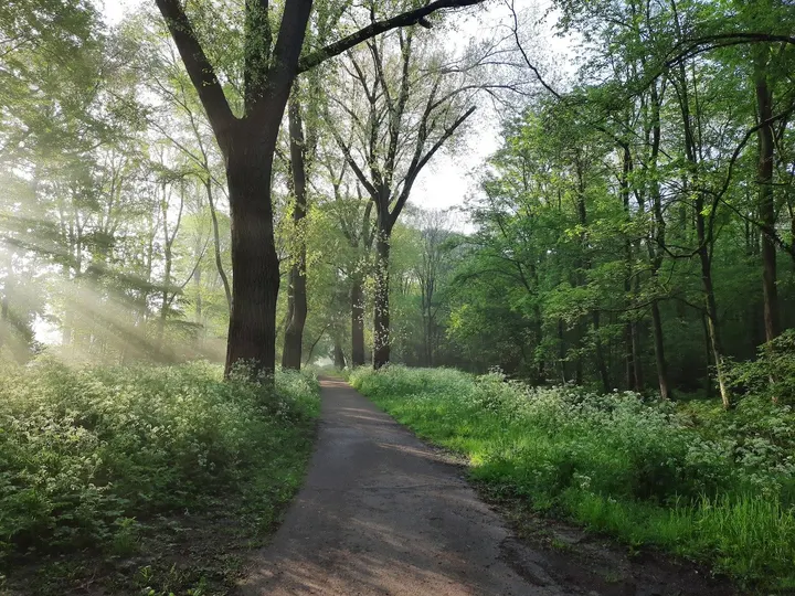 Studio Vliegenbos — Breathwork in Noord, Amsterdam