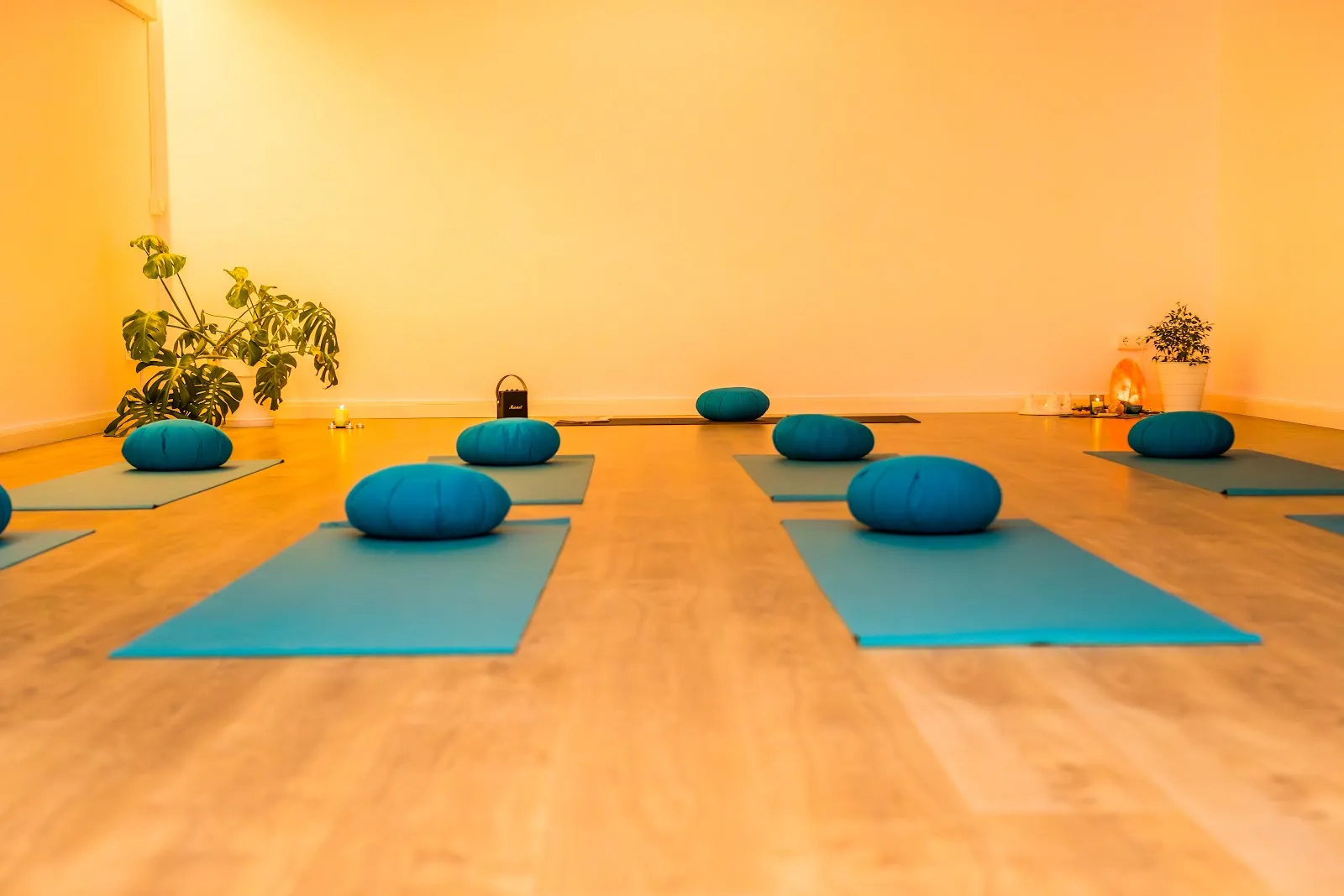 Almasana Ibiza — yoga-studio en Can Frigoles, Santa Eulària des Riu — 2