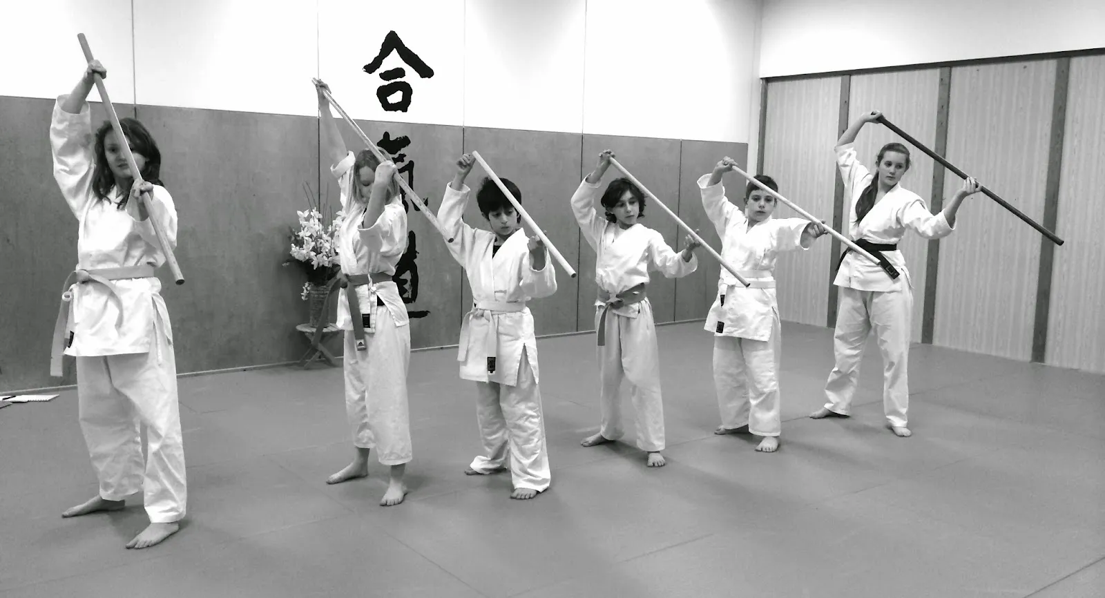 Toitsu Ki og Aikido Gladsaxe — kampsport-studio i Søborg, København — 3