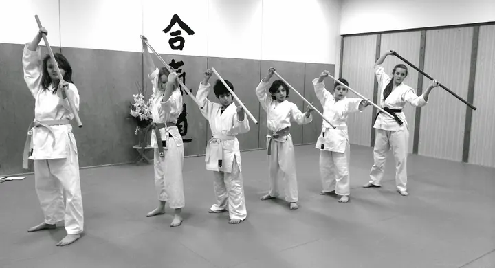 Toitsu Ki og Aikido Gladsaxe — kampsport-studio i Søborg, København — 3