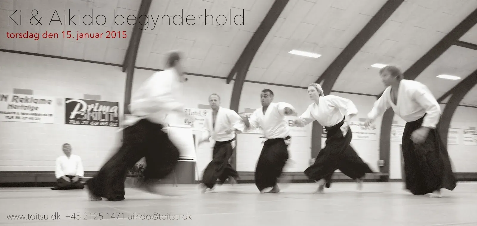 Toitsu Ki og Aikido Gladsaxe — kampsport-studio i København — 3
