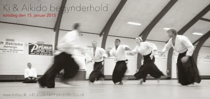 Toitsu Ki og Aikido Gladsaxe — kampsport-studio i København — 3