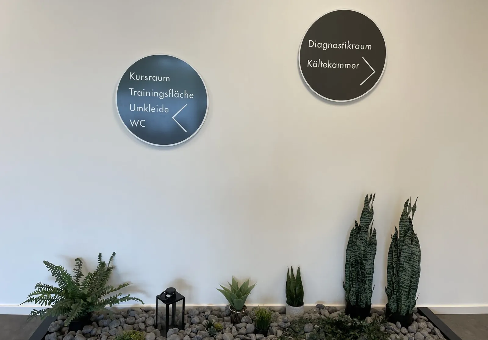 PHYSIOSPORT BNK Gerätetraining & Kurse — pt-studio i Leverkusen — 3