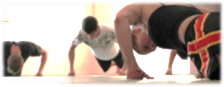 Bulls Gym 2010 — muay thai-studio in Hahn, Taunusstein-Hahn — 2