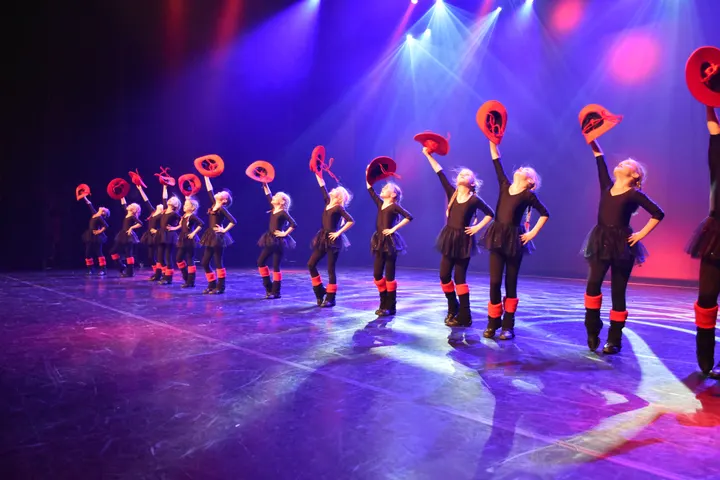 Studio Moving Stars B.V. — dans-studio in Zeist — 4