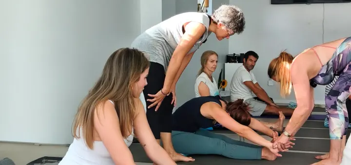 Escola de Yoga Leça Balio — yoga-studio em Santana, Porto — 2