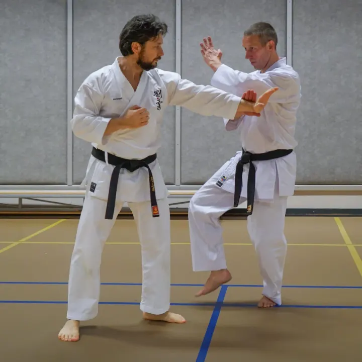 Karate Goju Kyoryoku — vechtsport-studio in Hillegersberg-Schiebroek, Rotterdam — 3