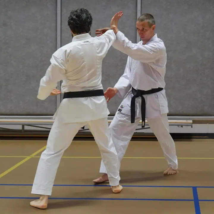 Karate Goju Kyoryoku — vechtsport-studio in Rotterdam — 3