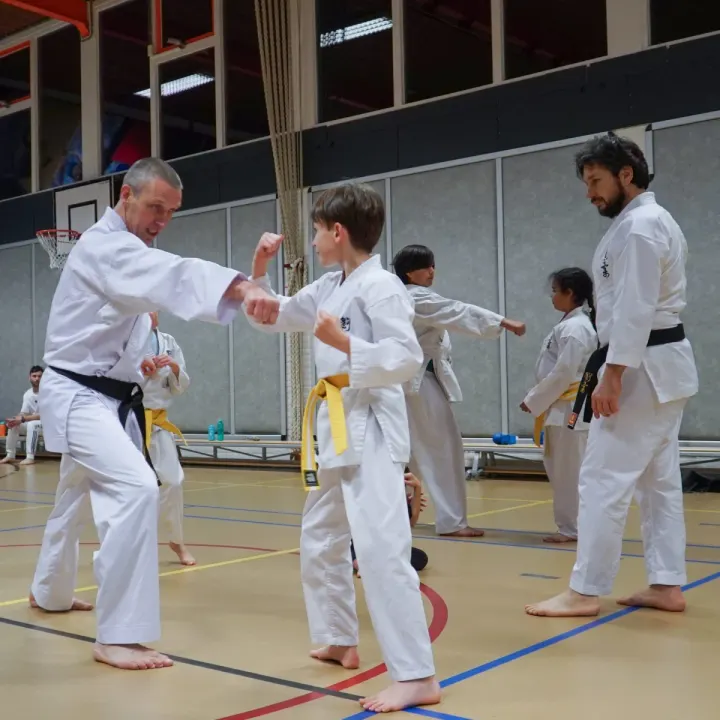 Karate Goju Kyoryoku — Vechtsport in Hillegersberg-Schiebroek, Rotterdam