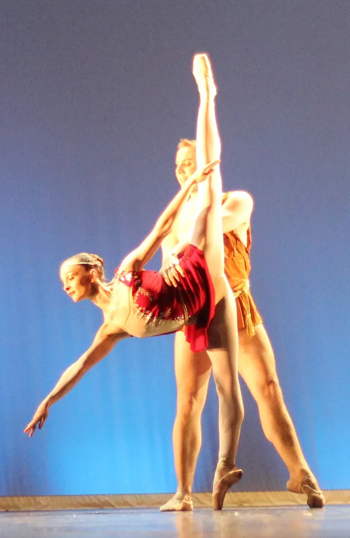 Centre Etude Chorégraphique Michèle Darcy — Danse à Le Grand-Treuil, Limoges
