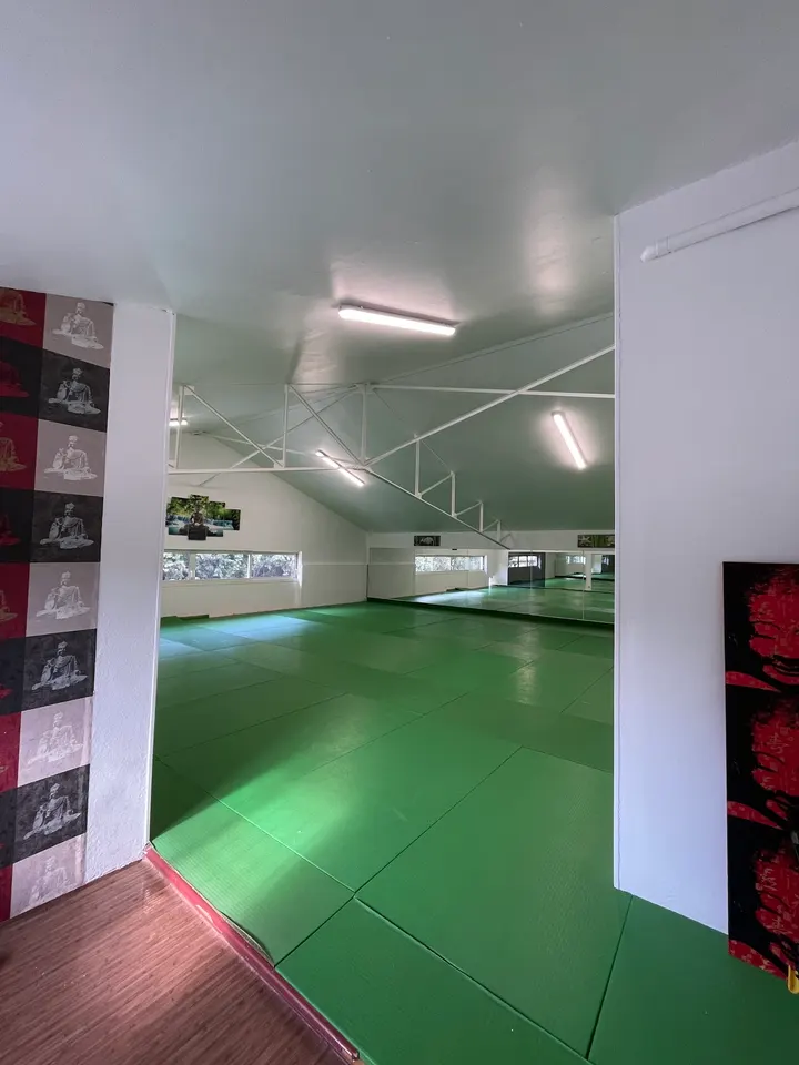 Centre des Arts Martiaux — arts martiaux-studio à Croix d'Argent, Montpellier — 3