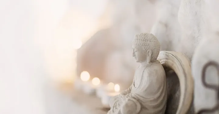 Mejse Mo Yoga — yoga-studio i Hvidkilde, Vester Skerninge
